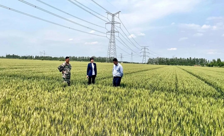 奮進新時代 工行深觀察||工行聊城分行以金融“活水”澆灌小微企業