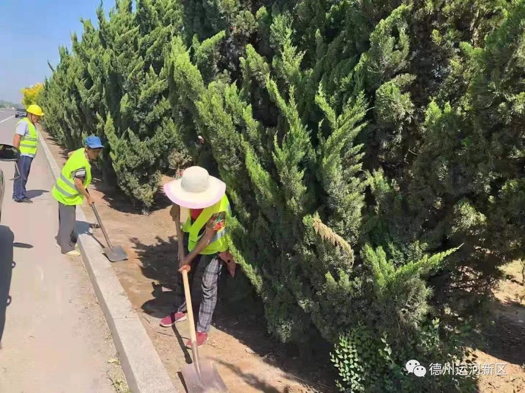我為群眾辦實事｜德州運河新區：向“三大堆”宣戰 村容村貌展新顏