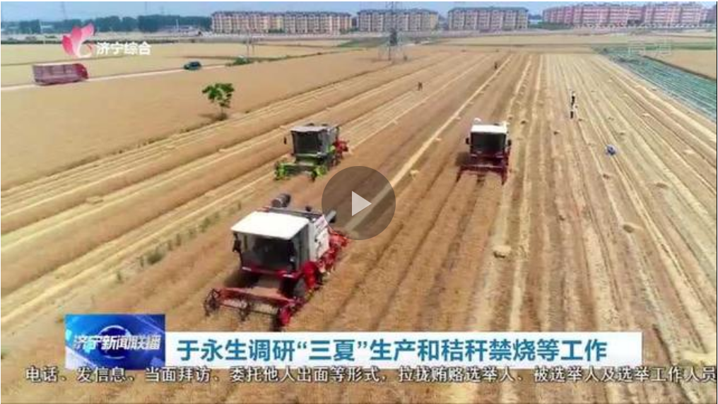 于永生調研“三夏”生產和秸稈禁燒等工作