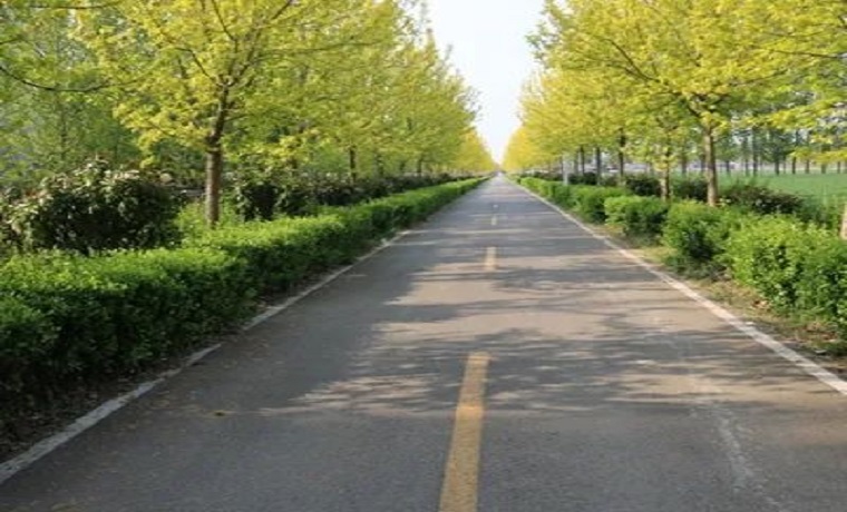 【學黨史?辦實事 】漕河鎮全域整治環境，展現新面貌