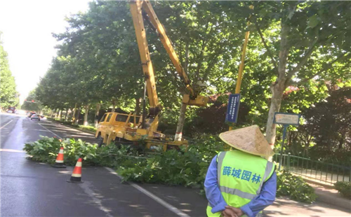 園林掀起創衛新高潮 全力打好創衛攻堅戰