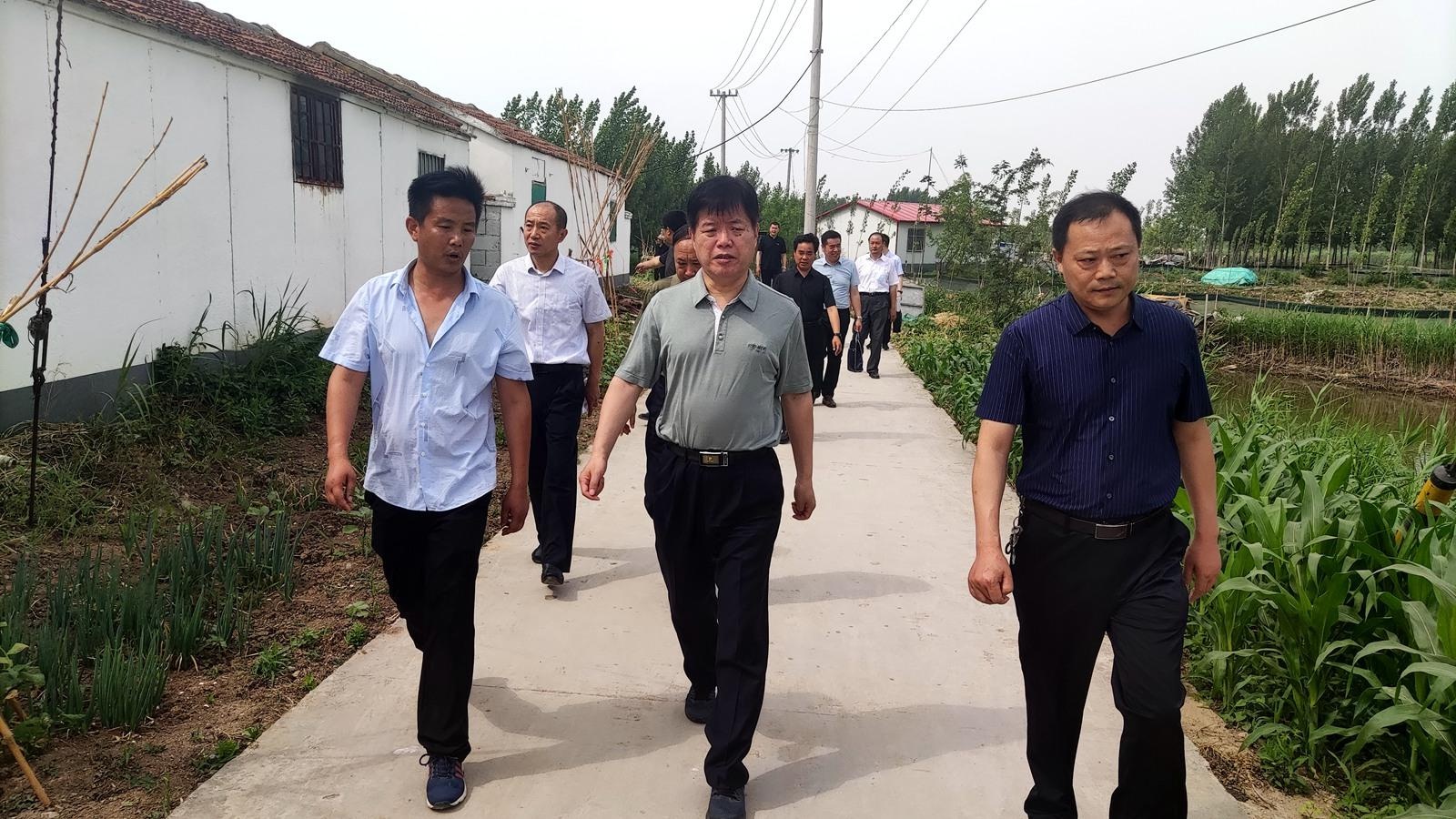 張茂如調研農村改廁排查整治和生態環境保護工作