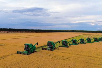 從“園”到“鏈”——探營黑龍江省內首個糧食流通產業園