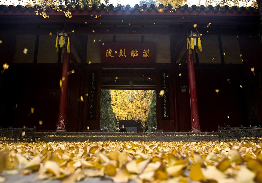 20210617103252147.jpg 20210617103252147.jpg