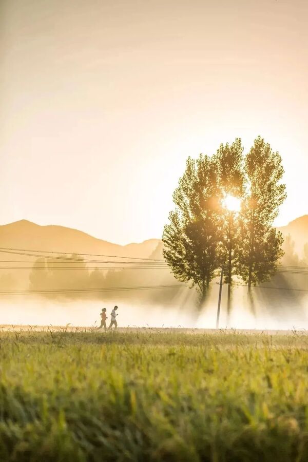 20210618121946378.jpg 20210618121946378.jpg