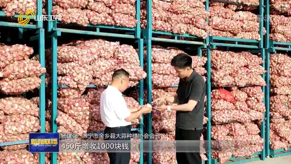 「牢記囑托 扎實實施鄉村振興戰略」山東濟寧金鄉：大蒜插上“云”翅膀