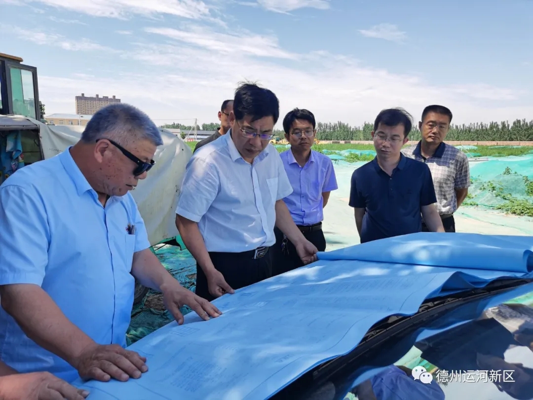 項目推進｜楊洪利就重點項目進行現場辦公