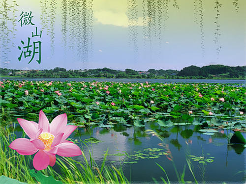 立足“三圍繞” 做到“三強化” 推動濟寧微山湖旅游區創5A圓滿成功