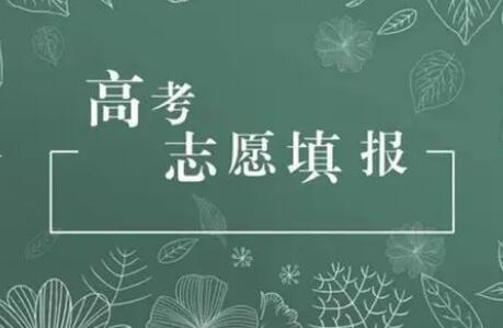 各地高考分數線陸續公布！教育部提醒：當心志愿填報“三大陷阱”