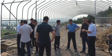市林業局領導來蘭陵督導檢查工作
