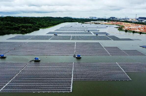 中國能建總承包的新加坡最大光伏電站并網發電
