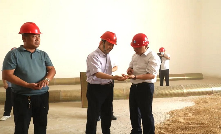 虢洪增到惠豐江北糧食物流園調研視察夏糧收購工作