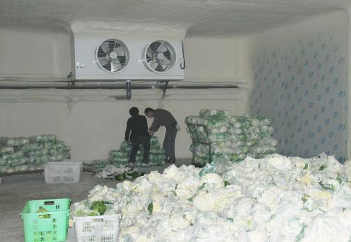 陜西省加快推進農產品產地冷藏保鮮設施建設