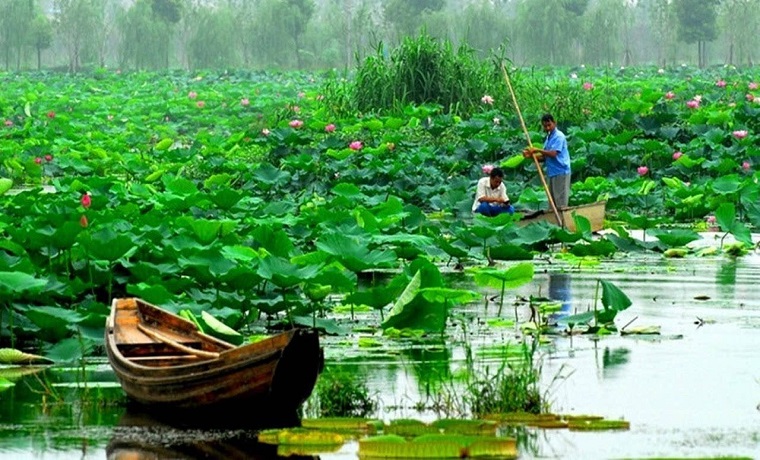 濟寧微山湖：講好紅色文化故事 爭創國家5A級景區