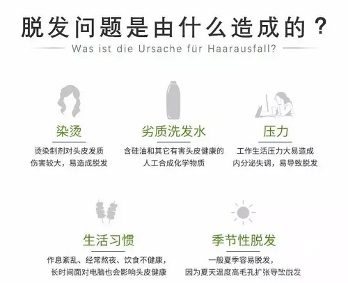 腦門太涼？找舒蕾幫幫忙!(圖2)
