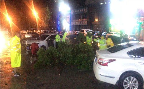 全力應對極端天氣 晝夜清障保安全