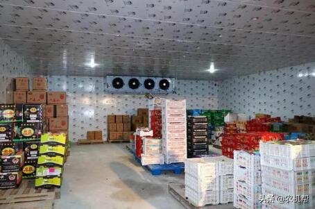 河南省發文加快推進農產品產地冷藏保鮮設施建設