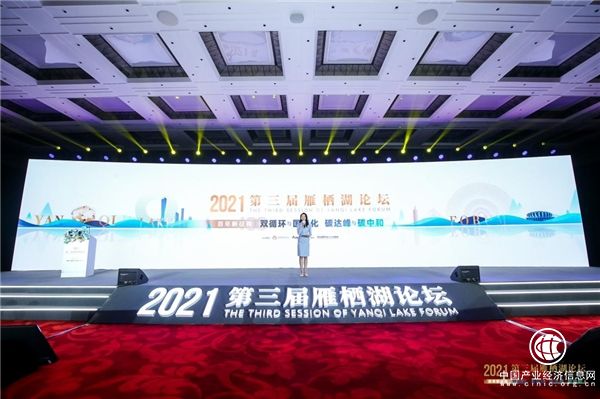 “百年新征程——雙循環與國際化，碳達峰與碳中和”，第三屆雁棲湖論壇圓滿舉行