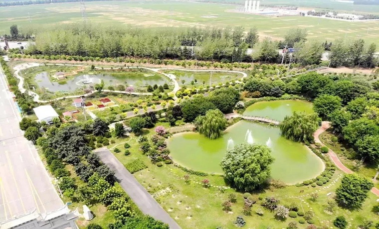 濟寧高新區：聚力鄉村振興 小康成色更足