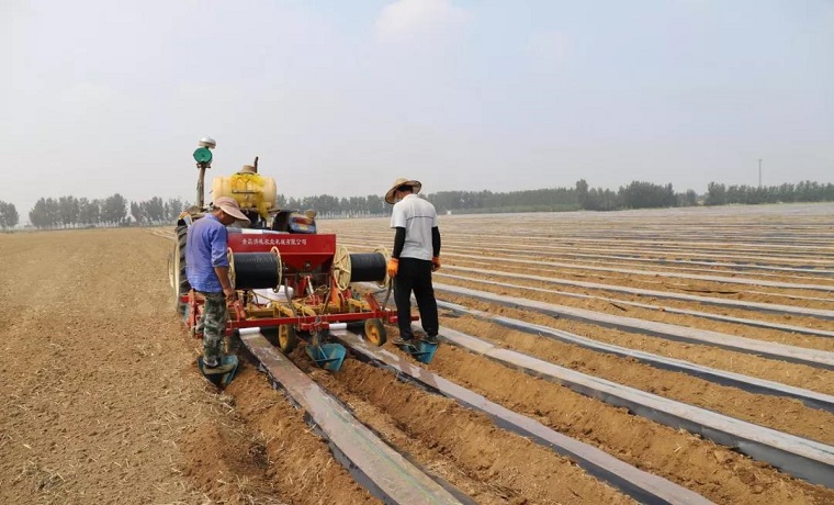 黨建引領巧調整，濟寧曲阜市吳村鎮產業興旺助振興