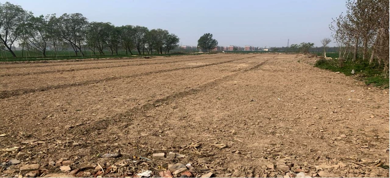 農發行德州市分行擦亮“農地銀行”品牌獻禮百年華誕