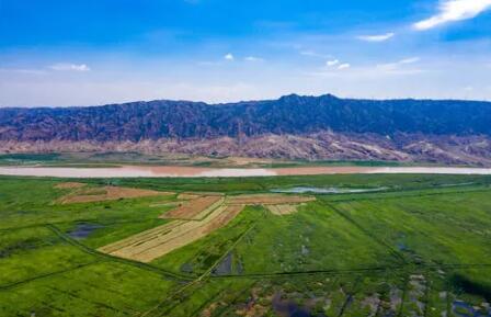 寧夏推動“林草濕沙”生態綜合監測一體化