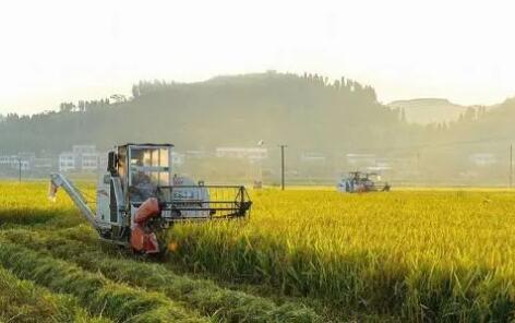 農業農村部印發《關于加快發展農業社會化服務的指導意見》