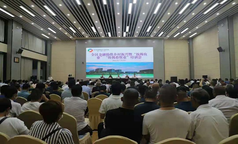 濟寧高新區金融助推鄉村振興“按揭農業”和農村集體經濟管理培訓會議召開