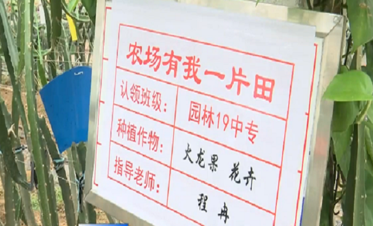 濟寧21所職業院校成高素質技能人才“搖籃地”