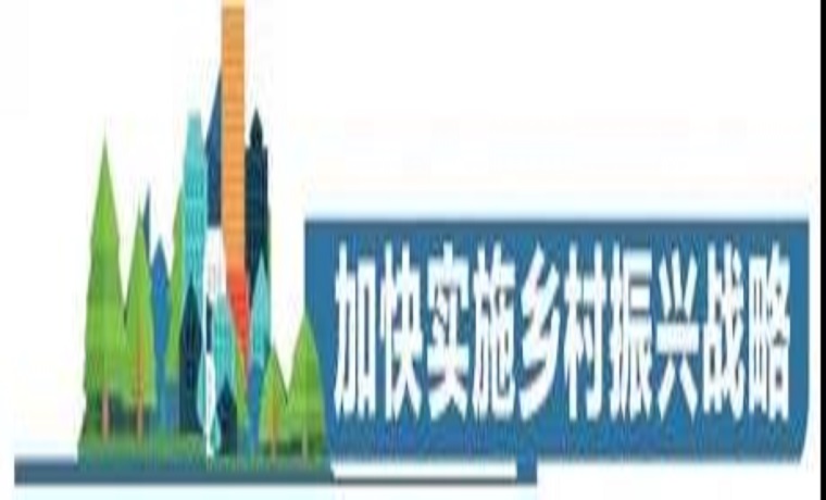 上半年濟寧市新增農業信貸擔保額27.21億元——山東農擔濟寧管理中心持續為鄉村振興注入強勁動能