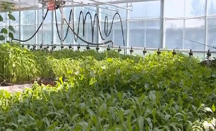 掛圖作戰丨濟寧這個省級鄉村振興重點項目“奮戰”正酣