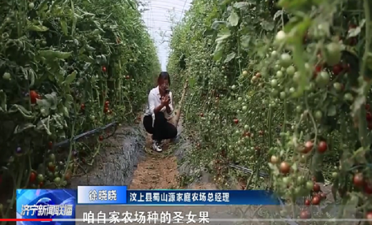 不忘初心 牢記使命 | 徐曉曉：致富路上的“領頭雁”