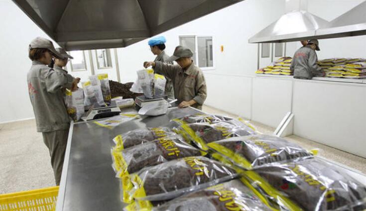 云南省中醫藥產業集群逐步形成