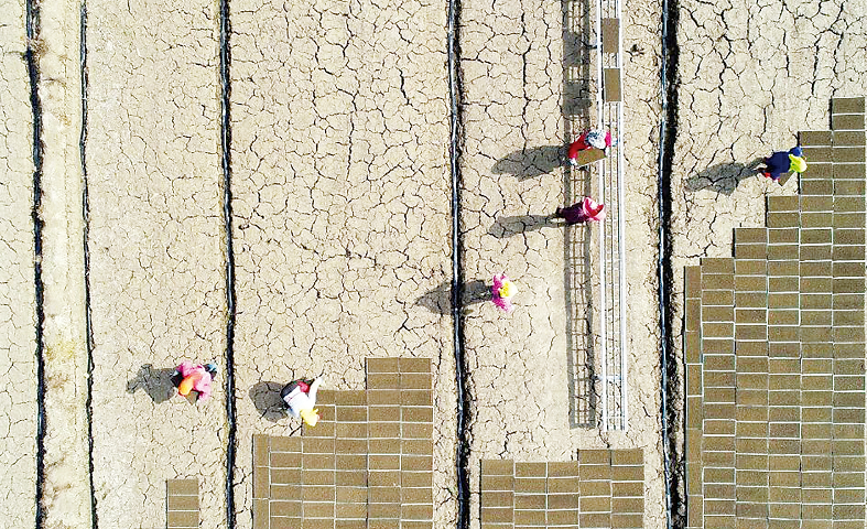 20210720172436767.png 20210720172436767.png