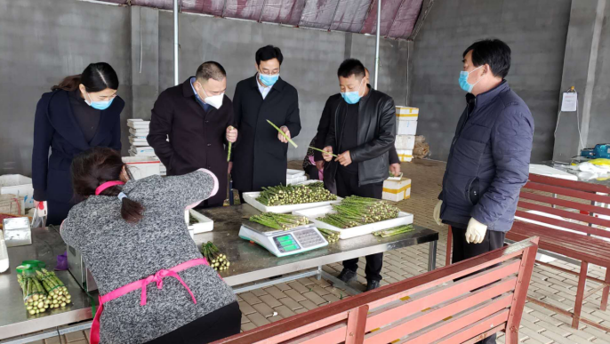 沂源農行：“背包銀行”托起山區致富夢