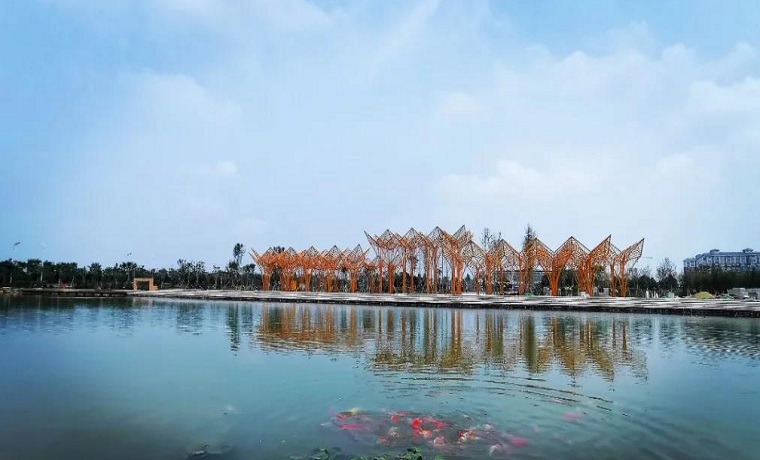 鄉村振興路正寬 ！新華網點贊濟寧金鄉“萬名干部下基層”