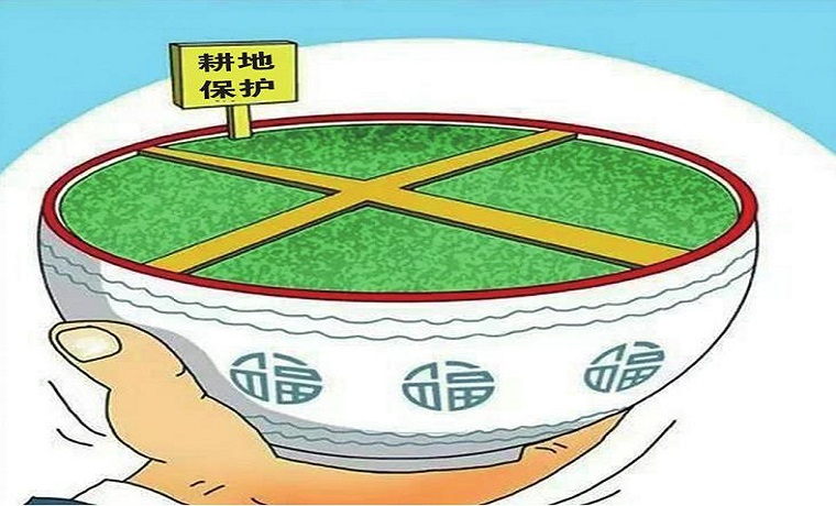 濟寧泗水縣推行耕地保護“田長制” 建立耕地保護全鏈條監管機制