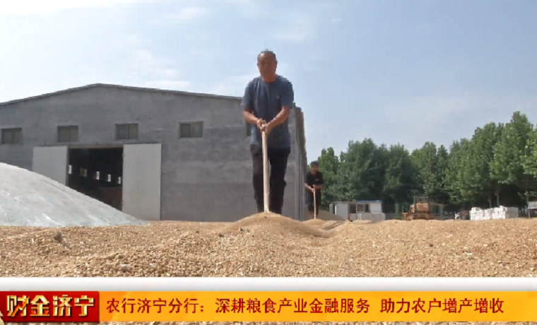農行濟寧分行做好糧食產業鏈各環節金融服務 種糧大戶“笑開顏”