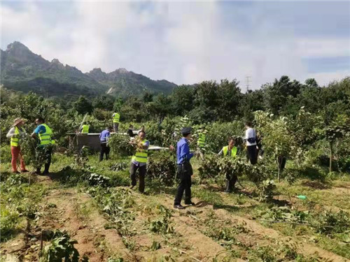青島市北區開展浮山北麓區域綜合整治行動