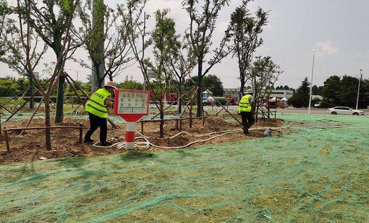 初見成效，濟寧寧安大道內環高架高新區段綠化進行中