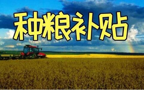 安徽種糧農民開領“一次性補貼”
