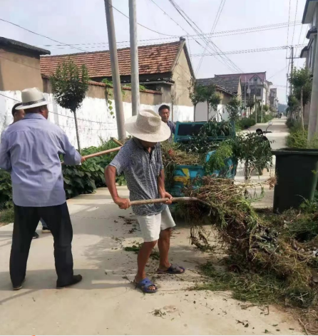 【我為群眾做好事】蘭陵縣南橋鎮：黨員干部奮力投身鄉村建設