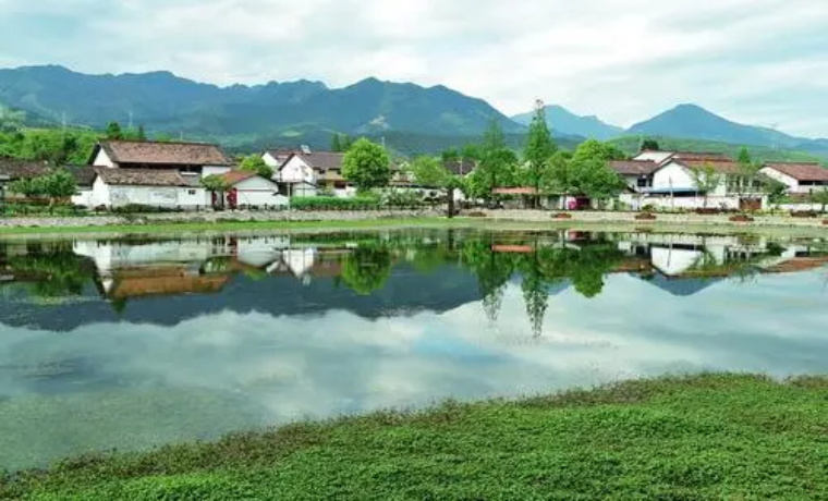 雙基攻堅 | 濟寧任城區抓實“五聯五促” 做好建制優化村融合文章