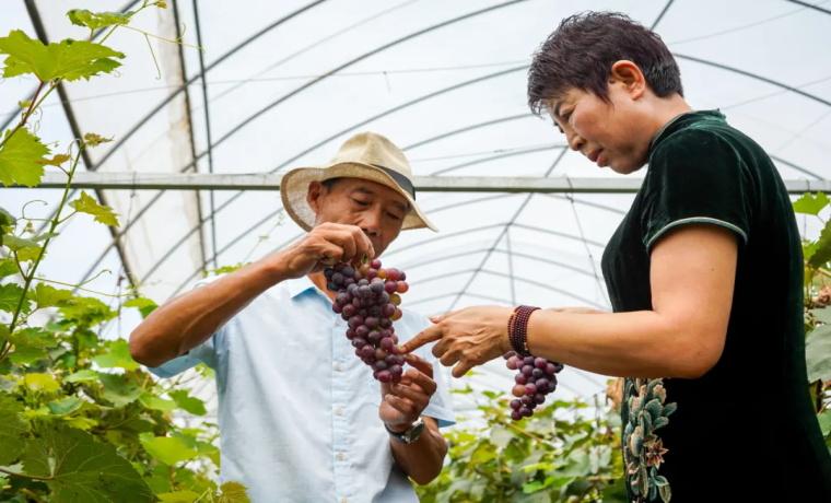 青山綠水，滋養濟寧泗水濱好食材
