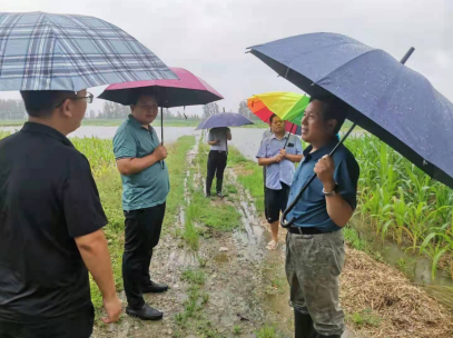 蘭陵縣自然資源和規劃局加強汛期地質災害督導檢查