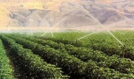 貴州加快構建現代農業發展體系