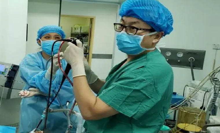 濟醫附院呼吸與危重癥醫學科成功開展氣道腫瘤切除術及Y型氣管覆膜支架植入術