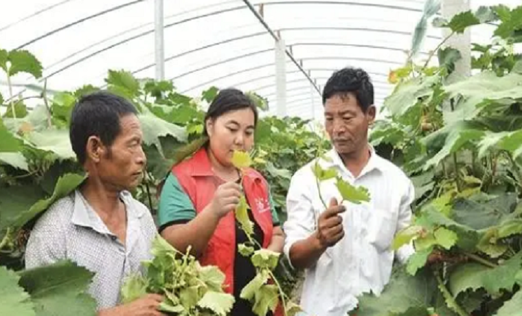 濟寧鄒城市：用心學黨史 真心辦實事