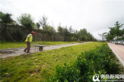 李滄福林苑小區周邊將新增“口袋公園” 預計11月底竣工