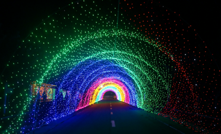 濟寧首屆四季牡丹園夜游季游玩攻略出爐